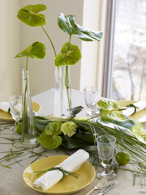 InterFlora,08-014606