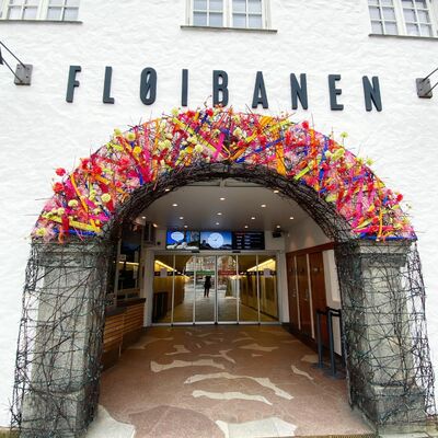 fløiibanen